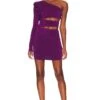 Baroni Mini Dress Plum Purple