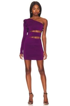 Baroni Mini Dress Plum Purple